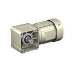 Daifuku, 7997591, Hyponic Geared Motor