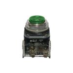 Allen Bradley, 800T-A1D1, Push Button, 1 NO, Green