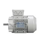 Motovario, 8608229, 1HP Motor, 1750 RPM, 56C Frame, 208-230/460VAC