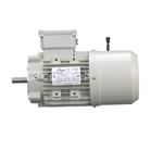 Motovario, 8605394, 1HP Brake Motor, 1750 RPM, 56C Frame, 460VAC