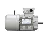 Motovario, 8605395, 1 1/2HP Brake Motor, 1750 RPM, 460VAC