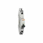 Schneider, MGN61302, Circuit Breaker, 2A, Magnetic, 1 Pole